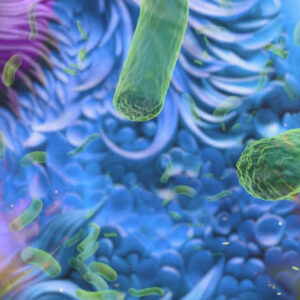 11. Las bacterias 5°
