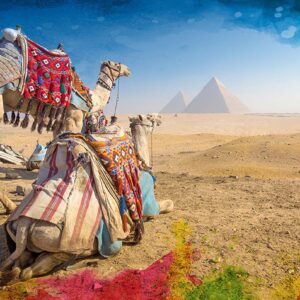 7. Egipto 6°