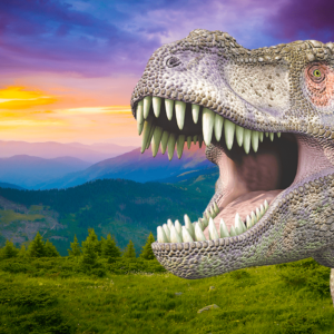3. Los dinosaurios 6º