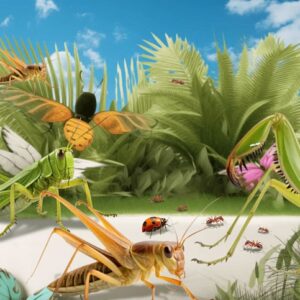 17. Los insectos 5°