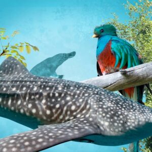 5. Animales extraordinarios 3°