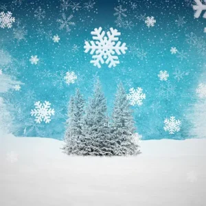 Copos de nieve