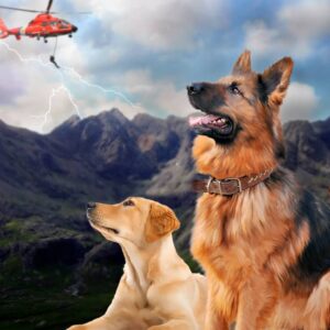 5. ¡Al rescate! 2°